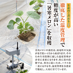 【令和7年産先行予約】北海道産 暑寒メロン  2玉(3.2kg以上 × 1箱)《2025年7月より発送予定》 青肉 果物 フルーツの王様 春 夏 秋 冬 御中元  フルーツ 生ハム パフェ ケーキ デ
