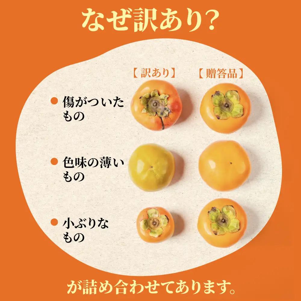 令和8年産 柿 11月～発送予定 訳あり 柿 富有柿 4kg mt2086 くどみフルーツ農園