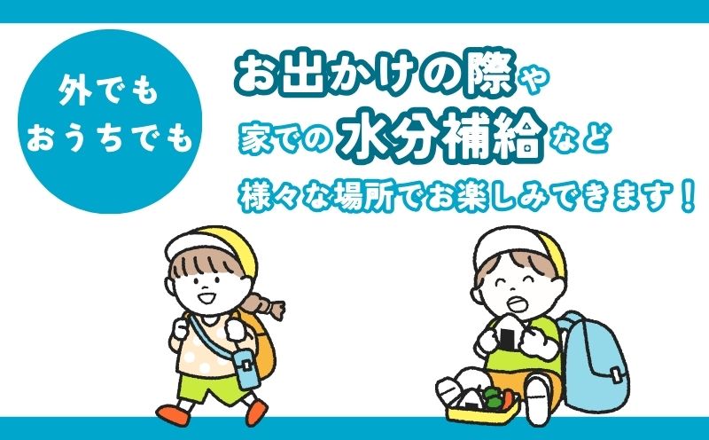 山梨　道志村の天然水　doshiwater 富士山系の大地の恵み　BIB80L(10ℓ×2箱×2セット)【5回定期】