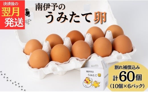 卵 たまご 60個 南伊予のうみたて卵 産地直送 南伊予養鶏 伊予市 愛媛 | B461