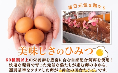 黄金の田舎たまご 20個入り 10個×2 化粧箱 北海道