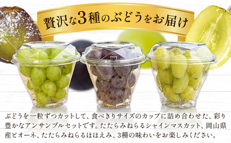 たたらみねらる アンサンブルセット 3カップ 各300g