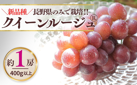 【2026年先行予約】クイーンルージュ®  400g以上(1房)  | ぶどう ぶどう