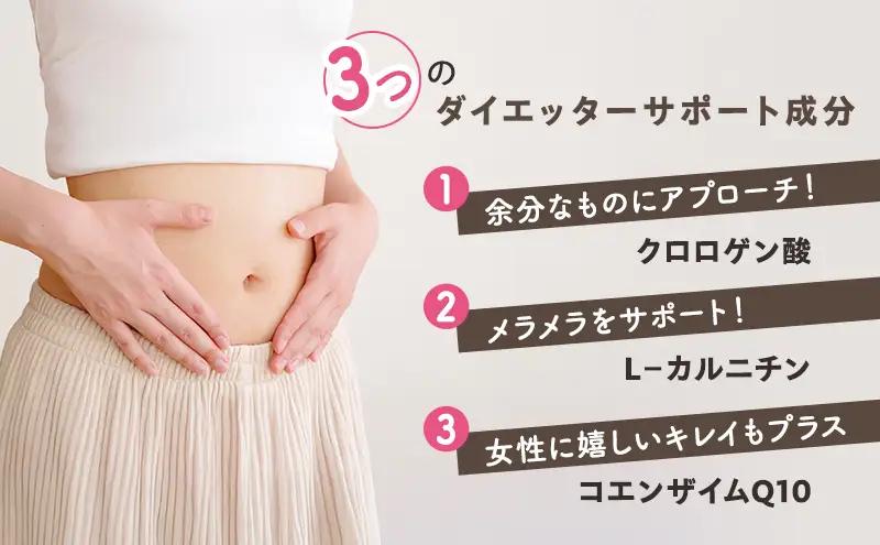 エクササイズ 抹茶ラテ 8本入 1袋 抹茶 ラテ 美容 健康 ダイエット 飲料 抹茶 ラテ ポリフェノール アミノ酸 食物繊維 コーヒークロロゲン酸 コエンザイムQ10 L-カルニチン 燃焼サポート 