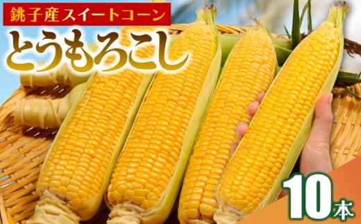 【先行予約】 とうもろこし 10本 数量限定 期間限定 産地直送 鮮度抜群 大容量 旬の野菜 旬の味覚 夏の風物詩 甘い トウモロコシ イエローコーン スイートコーン 夏野菜 バターコーン コーン スープ 特産品 とうきび プレゼント 贈り物 ギフト 贈答 お取り寄せ グルメ お取り寄せグルメ 発送時期 2026年7月中旬～(なくなり次第終了) ふるさと納税 送料無料 千葉県 銚子市 小野商店