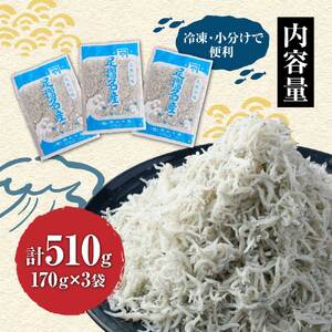 岡本水産加工のちりめんじゃこ（170ｇ×3袋）冷凍便 シラス 無添加 釜揚げ しらす丼 ちりめん丼【R00017】