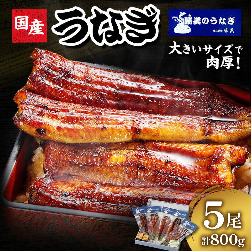 【ふるさと納税】うなぎ 国産 5尾 160g×5尾 セット 鰻 蒲焼 勝美 蒲焼き 土用の丑の日 浜名湖うなぎ 産地直送 真空パック 冷凍配送 浜松 静岡県浜松市 ギフト