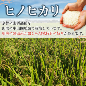 玄米 ヒノヒカリ 30kg 京都産 大容量 玄米