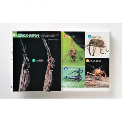 ふるさと納税 文京区 講談社おはなし隊セレクト 講談社の動く図鑑MOVE【入学・進級お祝い】[55000191] |  | 02