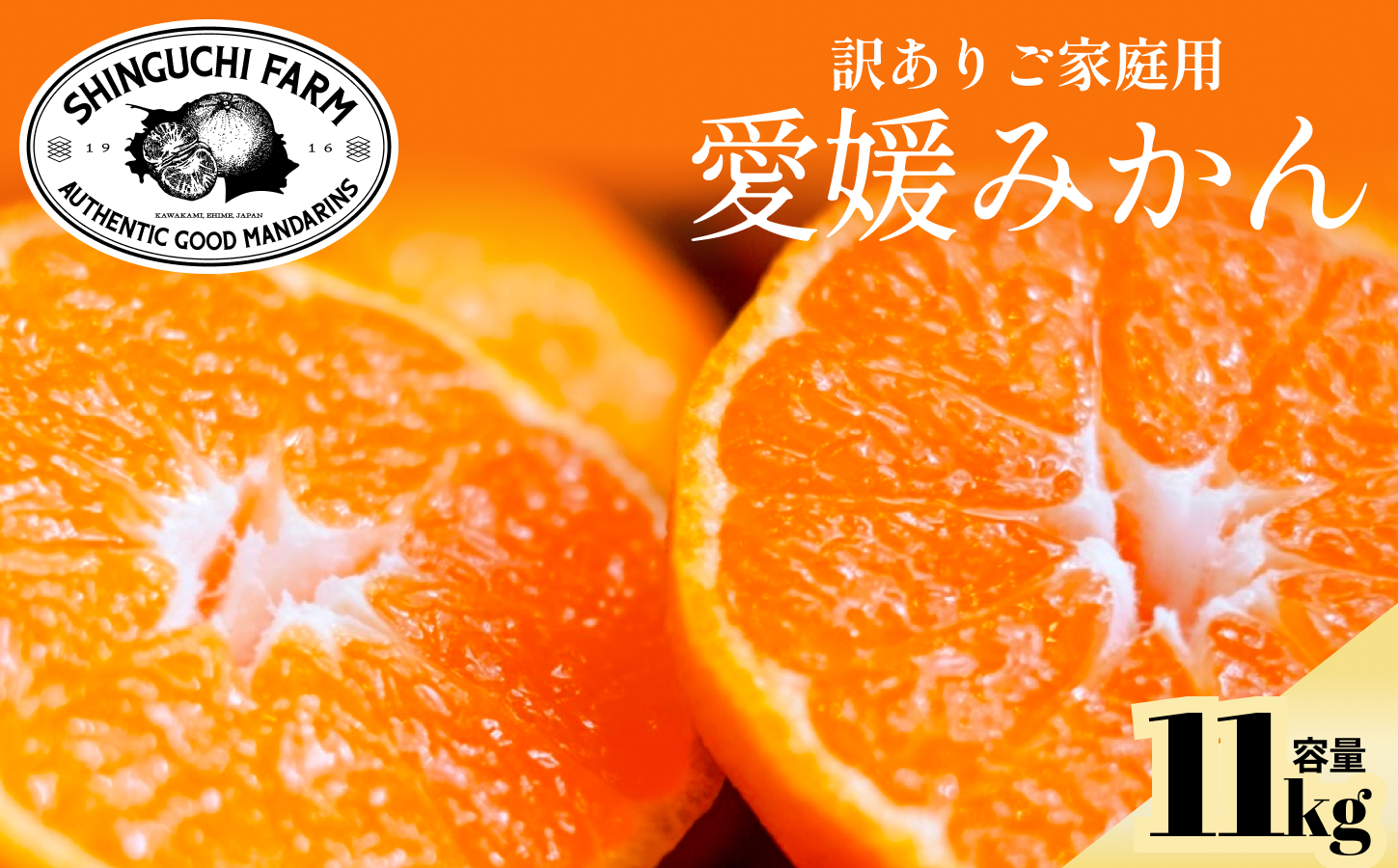 【先行受付】【訳ありだけど美味しさそのまま】愛媛みかん 11kg 愛媛県産【C70-136】【1686736】 YWTK135