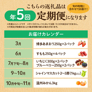 【定期便/年5回】フルーツ JAむなかた厳選！人気フルーツ定期便 _HB0164