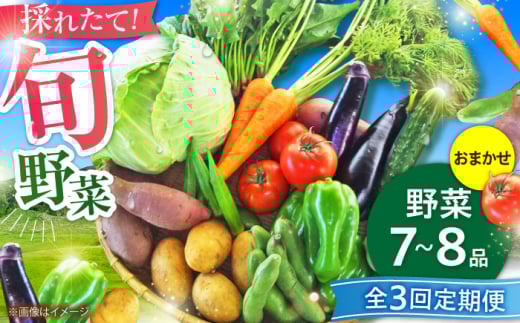 【全3回定期便】【数量限定】旬の 野菜 セット (約3kg/野菜7-8品程度) / 野菜 新鮮 旬 詰合せ セット 熊本県 菊陽町 特産品 【有限会社さんふれあ】 [BHAK024]