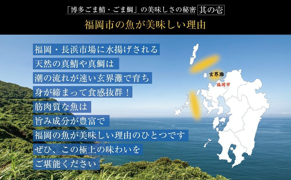 博多名物 ごま鯖 ごま鯛 2種 食べ比べ 各2パック セット 詰め合わせ 長浜市場水揚げ 小分け 天然 ごまさば 鯖 鯛 真鯖 真鯛 長浜市場 刺身 茶漬け 海鮮 お茶漬け お茶漬けの素 出汁茶漬け 