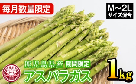 s228 ≪数量限定≫さつま町産のアスパラガス(1kg・2L～Mサイズ混合)新鮮な採れたてアスパラを産地直送でお届け【松金農園】