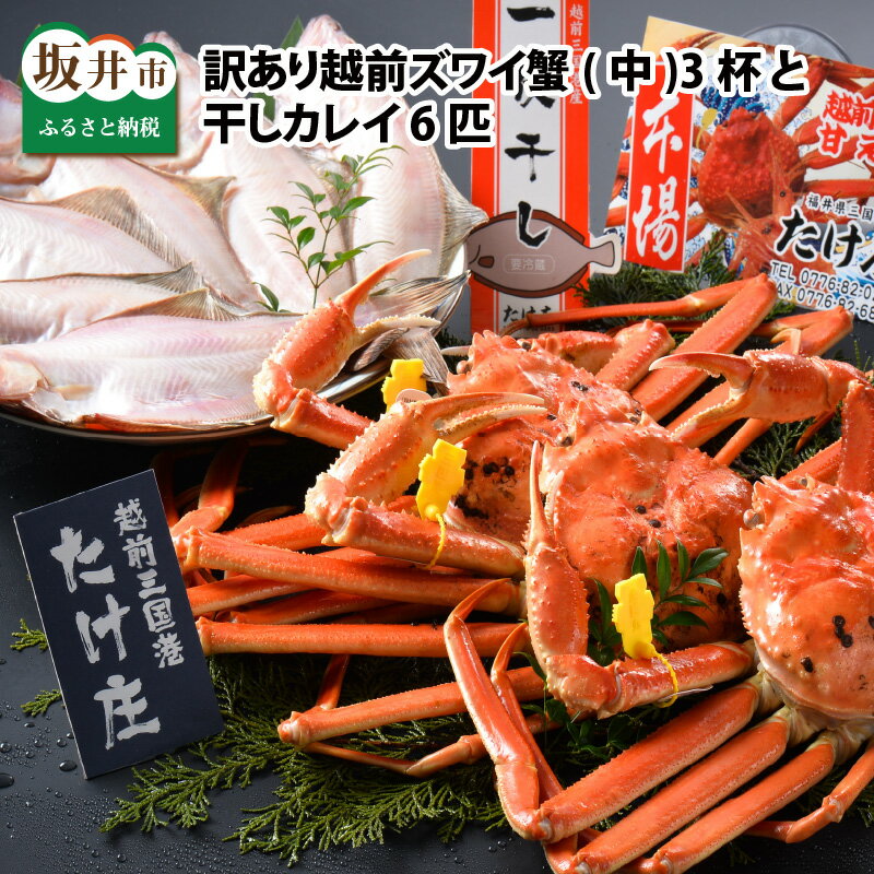 【ふるさと納税】【先行予約】訳あり かに ≪茹で≫越前ズワイ蟹(中) 3杯 と 干しカレイ 6匹【2026年1月〜3月発送】越前がに 越前ガニ ズワイガニ 国産 県産