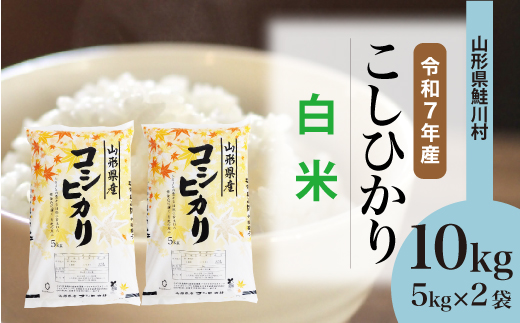 
                  ＜令和7年産＞ こしひかり 【白米】 10kg （5kg×2袋）＜配送時期選べます＞　山形県鮭川村
                