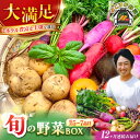 【ふるさと納税】【全12回定期便】すずなり採れたて野菜BOX（5〜7品目）野菜セット 詰め合わせ 季節野菜 やさい 産地直送 旬 新鮮 定期 定期便 横須賀【鈴也ファーム】[AKCE004]