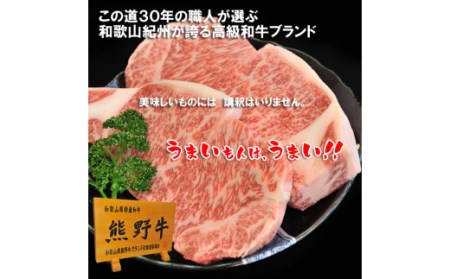 牛肉 肉 牛 焼き肉 和牛 牛 贈り物 冷凍 / プレミアム熊野牛 焼肉 ４８０ｇ【kbs005】