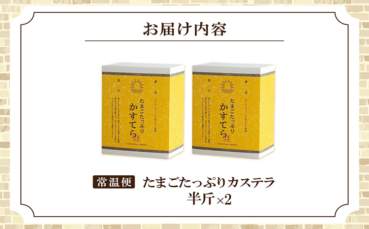ココテラスのたまごたっぷりカステラ　(半斤 2箱)