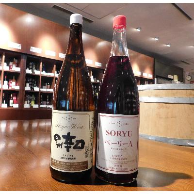 ふるさと納税 山梨県 山梨名物一升瓶ワインセット【蒼龍葡萄酒の甲州辛口・ベーリーA(白・赤)】