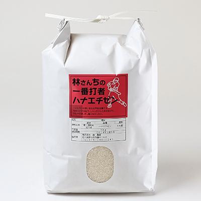 ふるさと納税 野々市市 林さんちの一番打者ハナエチゼン　白米5キロ |  | 03