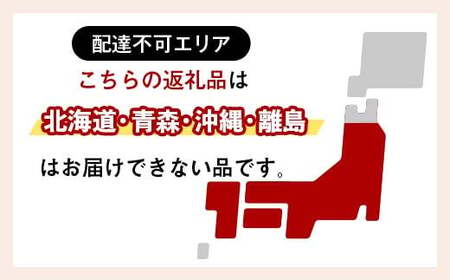 贈答用 プリンセチア 鉢植え 5号鉢 2025年10月下旬から順次発送 ピンク 花 フラワー 鉢植 植物 インテリア 冬 クリスマス 贈り物 プレゼント ギフト 埼玉県 本庄市 F5K-171