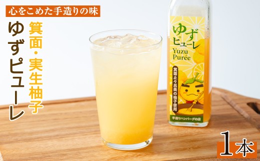 ＜数量限定＞箕面の実生ゆず使用！ゆずピューレ (1本・380g) 【m29-05-A】【手造りハンバーグの店】