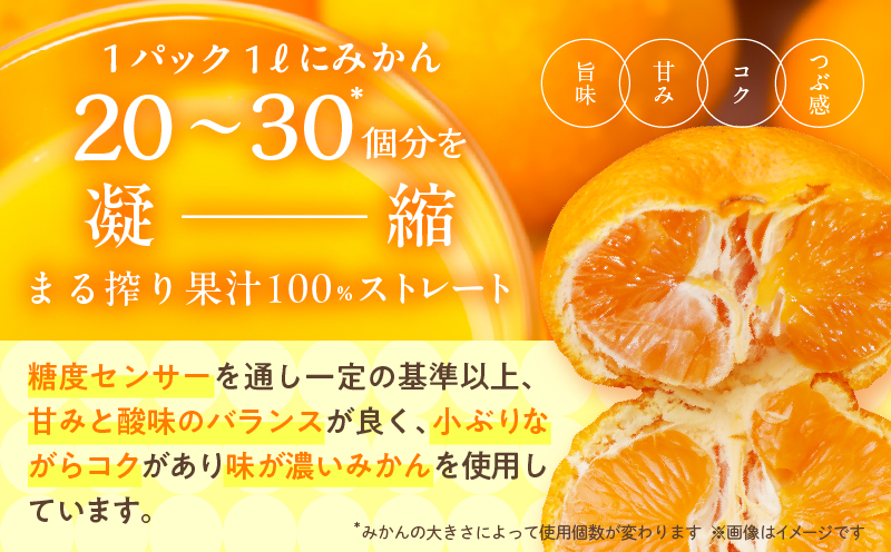 ≪12か月お楽しみ定期便≫果汁 100％ まる搾り みかん ジュース 1000ml×3本 12回 機能性表示食品 飲料 ソフトドリンク 果物 フルーツ 柑橘 ミカン シャーベット 国産 おすすめ ギフ