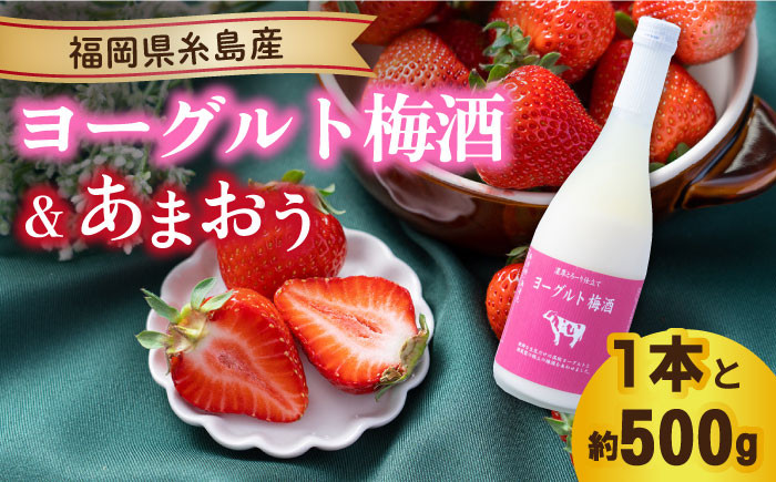 
【冬】ヨーグルト梅酒720ml ×あまおう 約250g×2パック 糸島市 / 南国フルーツ株式会社 [AIK012]
