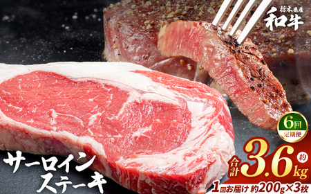 【定期便6回】栃木県産和牛 サーロインステーキ 約200gx3枚 