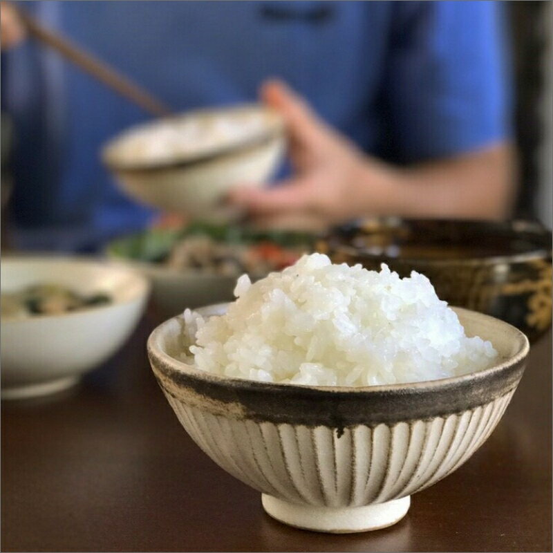 【ふるさと納税】2025年産 京都・弥栄産 ササニシキ 精米 4.5kg 9kg（栽培期間中農薬不使用）