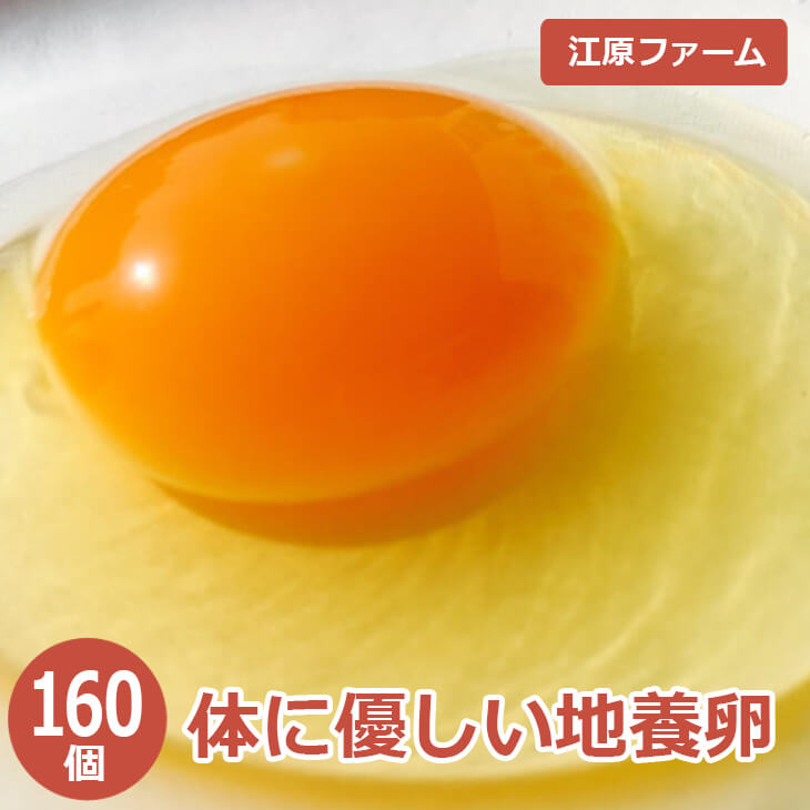 【ふるさと納税】江原ファーム 体に優しい地養卵 160個 割れ補償 ふるさと納税 たまご タマゴ 生みたて 新鮮卵 赤玉 玉子 たまご タマゴ 生卵 鶏卵 産みたて 地養卵 新鮮 濃厚 健康 TKG 国産 ギフト 贈答 贈り物 お中元 お歳暮 プレゼント 茨城県 古河市 農家直送 _AG06