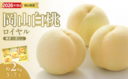 【2026年発送分 先行受付スタート！】岡山県産 白桃 最高ランク！「ロイヤル」 約2kg（令和8年7月以降発送）【桃】hz-m