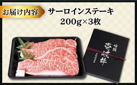 特選 壱岐牛 サーロインステーキ 200g×3枚《壱岐市》【土肥増商店】[JDD001] 34000 34000円 サーロイン ステーキ 肉 焼き肉 焼肉 BBQ サーロインステーキ サーロイン ステ