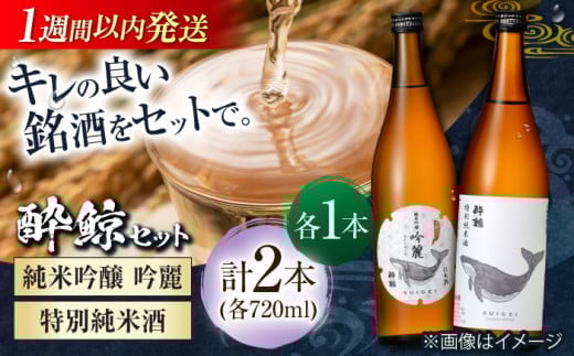 【父の日発送】酔鯨 純米吟醸 吟麗&特別純米酒 720ml 2本 日本酒 飲み比べ 地酒 【近藤酒店】 [ATAB045] お酒 酒 おすすめ 高知 日本酒 高知市 こうち 人気 スピード発送 配送 最短 すぐ届く