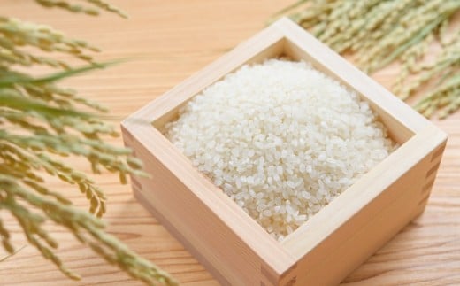 ＜令和7年10月中旬以降発送＞ひのひかり(奈良県天理産)精米5㎏＜令和7年産＞(一等米)【1085318】