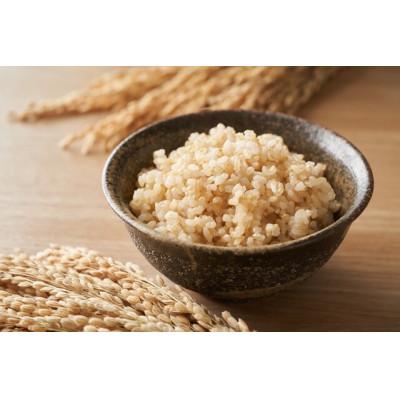 ふるさと納税 西脇市 兵庫県産【ヒノヒカリ】令和7年産・ 玄米　10kg (10kg×1袋)