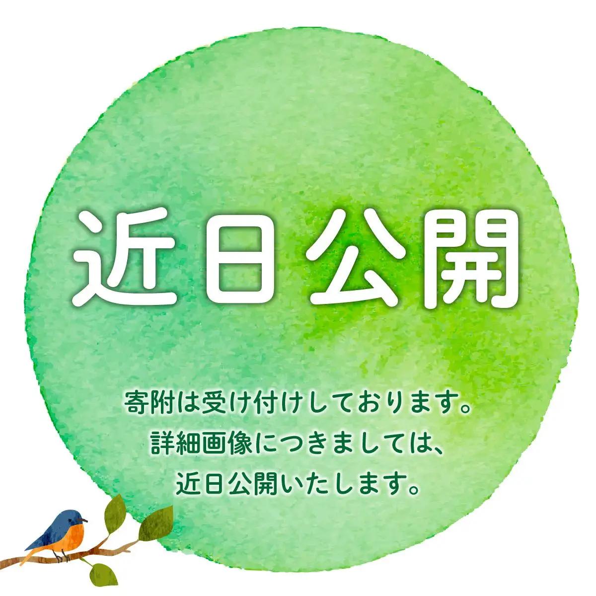  【博多辛子明太子の島本】希少国産卵・チューブ入り辛子明太子80g×4種（オリジナル・昆布漬け・大吟醸仕込み・辛口）