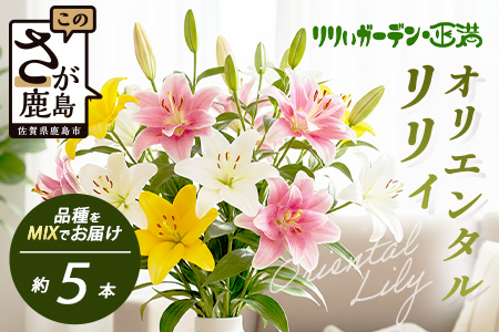 【生産者直送】高レビュー5.0 幸せと笑顔を届けるオリエンタルリリィ ユリ 百合 花 切り花 フラワー 艶やか 美しい 華やか 可憐 鮮やか 長持ち 強い 有機肥料 自然 人気 ラッピング プレゼント 贈り物 贈答 佐賀県 鹿島市 送料無料 B-313