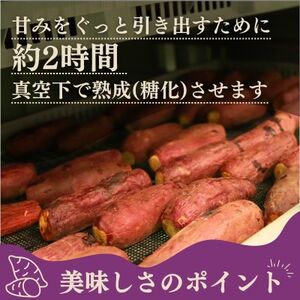 毎朝食べたい焼き芋　1Kg【配送不可地域：離島】【1670920】