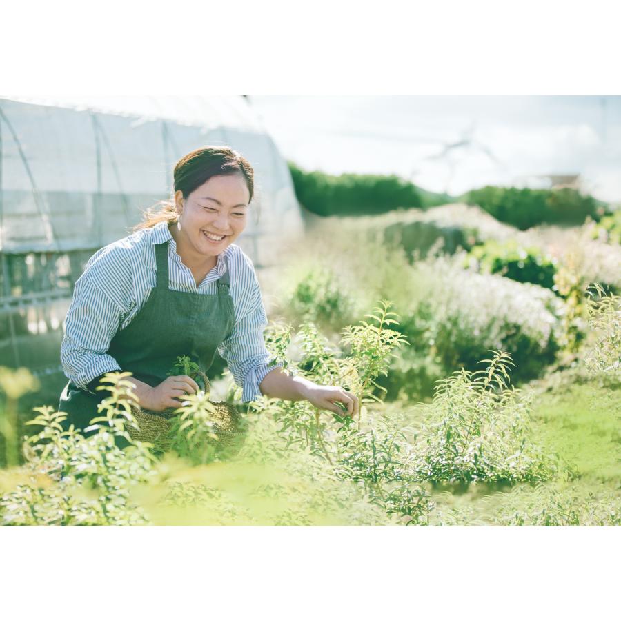 ＜ヒロコハーブス＞ハーブティ－　レモンレモン　31ティーバッグ入り