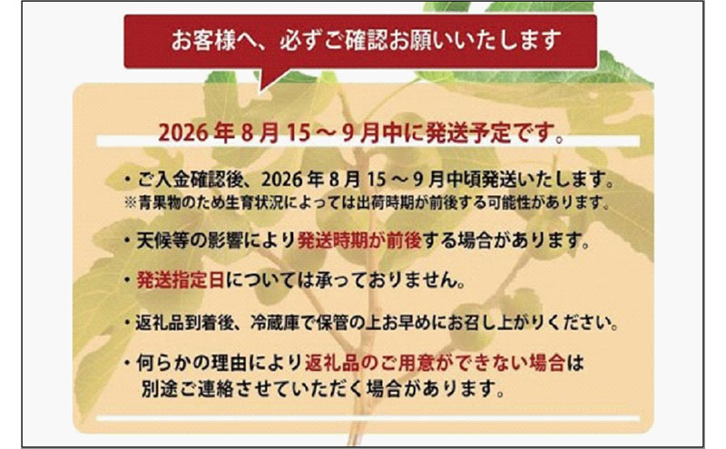 ＜2026年8月以降発送＞とよみつひめ　4パック約1200gセット（福岡市）　イチジク いちじく 無花果