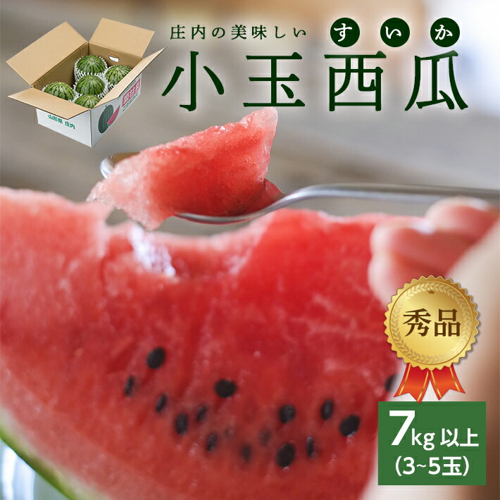 【ふるさと納税】庄内の美味しい小玉西瓜 秀品 3〜5玉入り 7kg以上 7月上旬〜8月中旬頃お届け ※着日指定不可 小玉 すいか スイカ 果物 くだもの フルーツ 赤 夏 旬 東北 山形県 酒田市 庄内