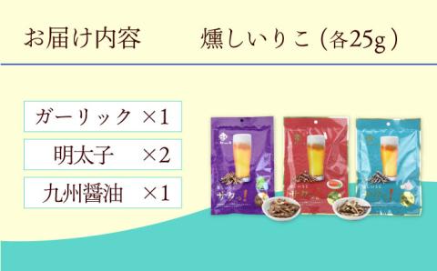 燻し いりこ サクっ！ 3種おためしセット (25g×4袋)  大村市 長崎海産株式会社 [ACAQ001]