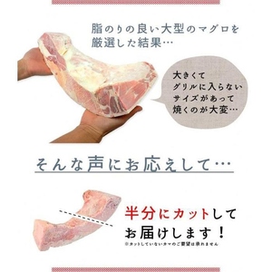 【定期便/計6回】南マグロ大トロカマ1kg（計6kg） | 加熱用 選べる 回数 定期便 冷凍 塩焼き 煮付け まぐろ 鮪 マグロ 焼き魚 高級種 希少部位 | DG016-1kg-t6