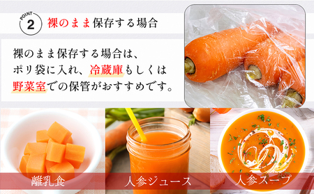 BH052 人参 訳あり 堀農園のこだわり人参 約10kg