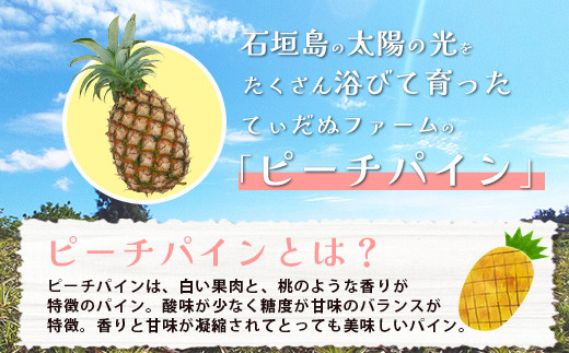 【先行予約】《2026年5月下旬頃より順次発送》石垣島産 ピーチパイン 2玉 約1.8kg【 産地直送 石垣島産 石垣 完熟 パイン パイナップル 】TD-010