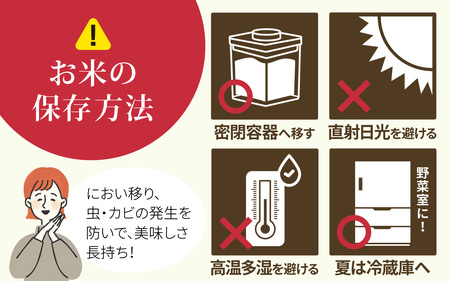 【令和7年産】こしひかり  白米 5kg | コシヒカリ 