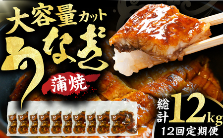 【12回定期便】刻み鰻個食パック 計1kg（100g×10P） / うなぎ 鰻 ウナギ きざみウナギ 刻み鰻 うなぎ ウナギ 鰻[AFBS004] うなぎ ウナギ うなぎ 鰻