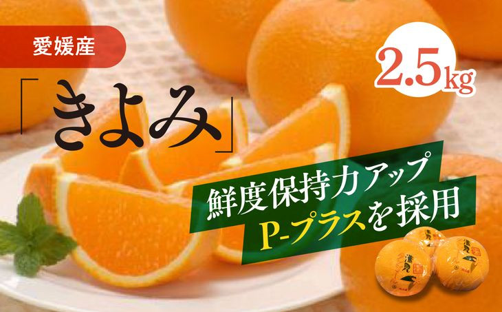 
清見タンゴール（Pプラ包装・生果2.5kg）｜柑橘 みかん ミカン 蜜柑 完熟 個包装　※離島への配送不可　※2025年6月中旬頃より順次発送予定
